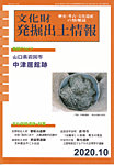 文化財発掘出土情報 471号の表紙
