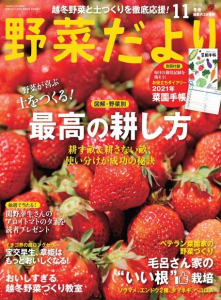 野菜だより 2020年11月号 (発売日2020年10月02日) 表紙