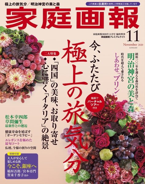 家庭画報 プレミアムライト 2020年11月号 (発売日2020年10月01日) 表紙