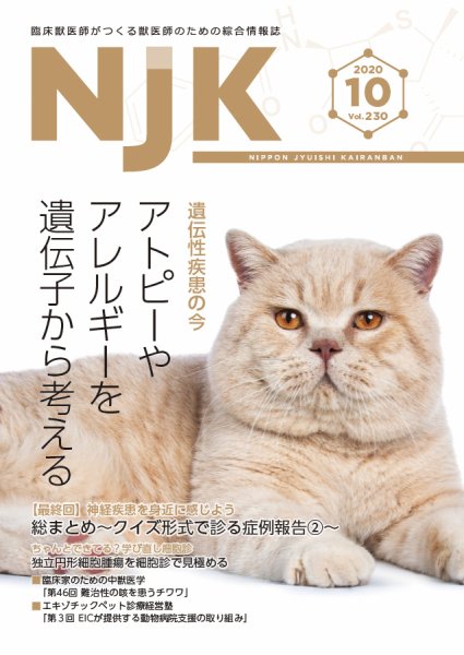 NJK Vol.230 (発売日2020年10月01日) 表紙