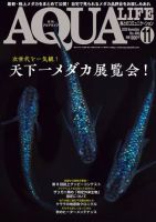 アクアライフ 11月号 (発売日2020年10月10日) | 雑誌/電子書籍/定期