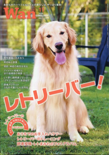 wan（わん） 2020年11月号 (発売日2020年10月14日) 表紙