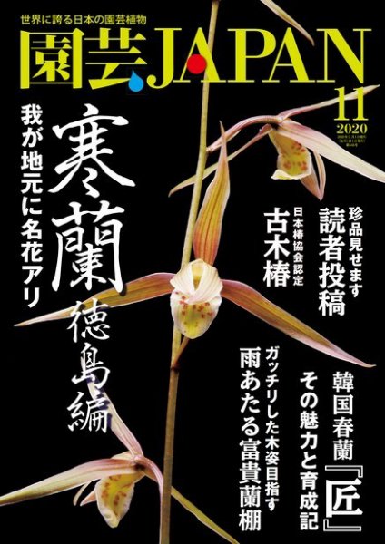 園芸Japan 2020年11月号 (発売日2020年10月12日) 表紙