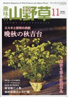 趣味の山野草 2020年11月号 (発売日2020年10月12日) 表紙