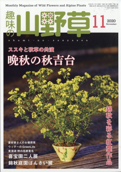 趣味の山野草 2020年11月号 (発売日2020年10月12日) 表紙