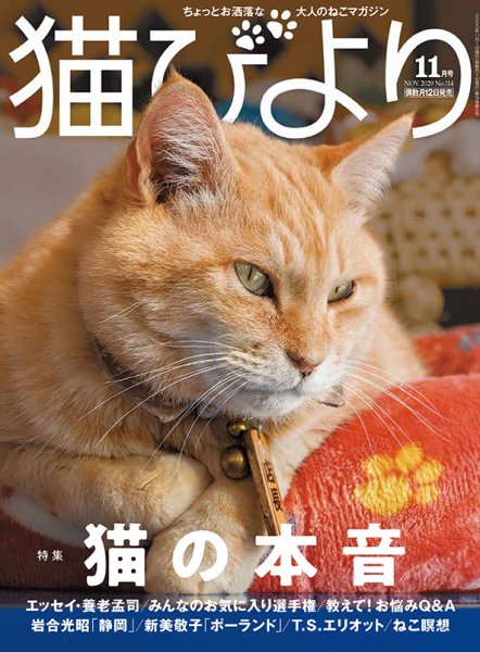 猫びより vol.114 (発売日2020年10月12日) 表紙