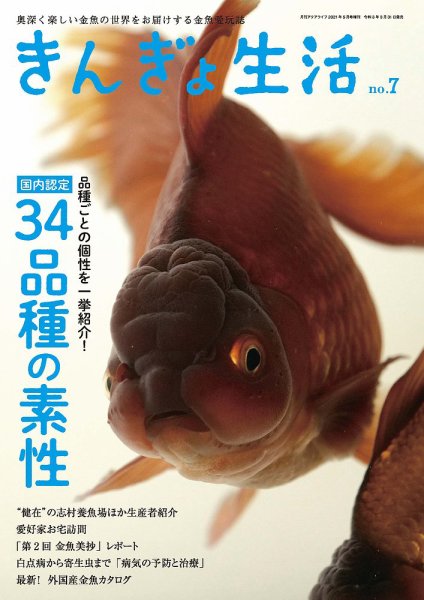 きんぎょ生活 No.7 (発売日2021年03月31日) 表紙
