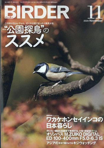 BIRDER（バーダー） 2020年11月号 (発売日2020年10月16日