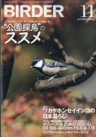 BIRDER（バーダー） 2020年11月号 表紙