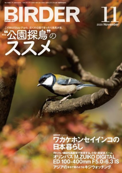 BIRDER（バーダー） 2020年11月号 (発売日2020年10月16日) 表紙