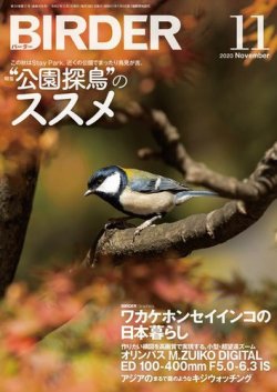 ぶっとバード」 スズメ GCR 値段相談可能