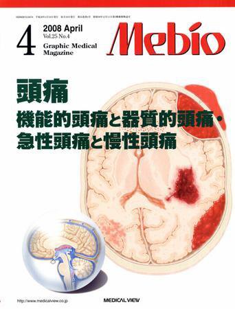 Mebio 2008年4月号 (発売日2008年03月10日) 表紙