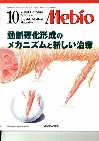 Mebio 2008年10月号 (発売日2008年09月10日) 表紙