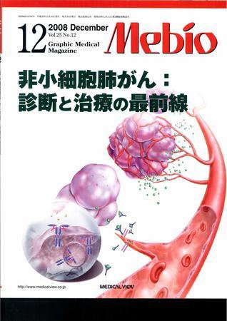 Mebio 2008年12月号 (発売日2008年11月10日) 表紙