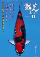 鱗光 2020年10月15日発売号 表紙