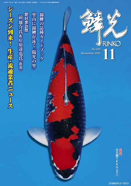 鱗光 2020年10月15日発売号 表紙