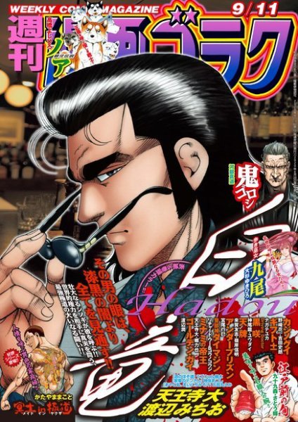 週刊漫画ゴラク 2020年9/11号 (発売日2020年08月28日) 表紙