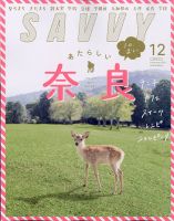 SAVVY (サヴィ) 2020年12月号 表紙