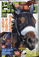 ビッグコミック 2020年11/10号 表紙