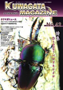 くわがたマガジン No.42 (発売日2008年07月30日) 表紙