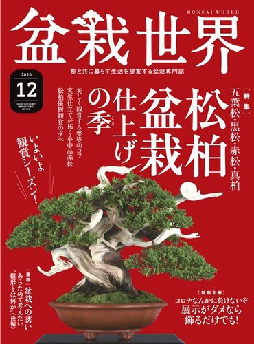 N237 盆栽世界 2008年11月号 盆栽 雑誌 趣味 専門誌ベ