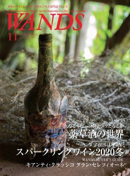 WANDS（ウォンズ） No.419 (発売日2020年11月05日) 表紙