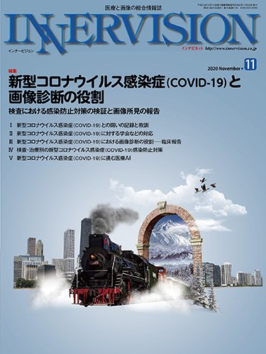 INNERVISION（インナービジョン） 2020年11月号 (発売日2020年11月01日) 表紙