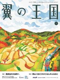 翼の王国・TSUBASA －GLOBAL WINGS－ 2020年11月号 (発売日2020年11月01日) 表紙