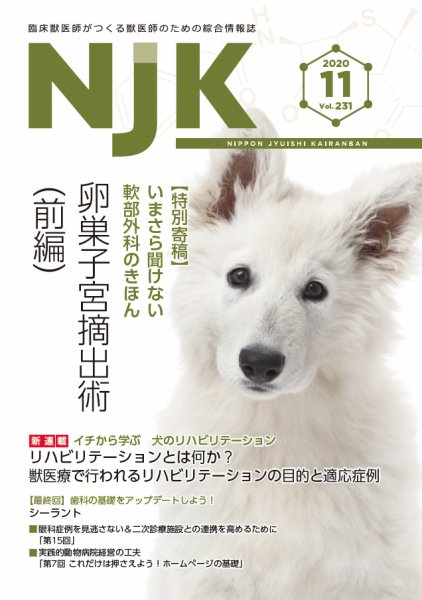 NJK Vol.231 (発売日2020年11月01日) 表紙