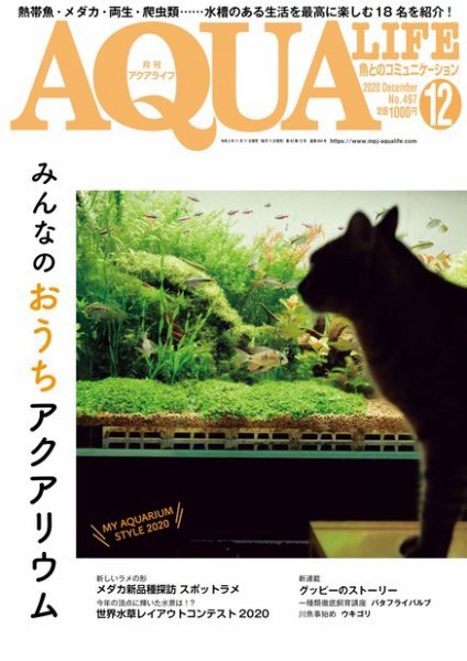 アクアライフ 12月号 (発売日2020年11月11日) 表紙