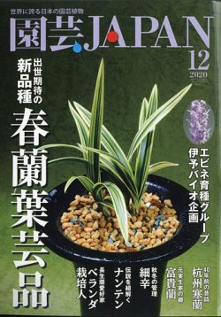 雑誌/定期購読の予約はFujisan 雑誌内検索：【木蘭】 が園芸Japanの2020年11月12日発売号で見つかりました！