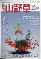 趣味の山野草 2020年12月号 (発売日2020年11月12日) 表紙