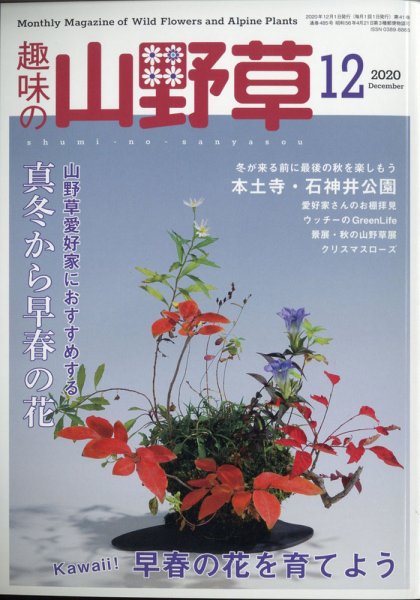 趣味の山野草 2020年12月号 (発売日2020年11月12日) 表紙