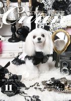 Cuun（クーン） 2020年11月号 (発売日2020年11月10日) 表紙