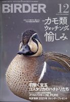 BIRDER（バーダー） 2020年12月号 表紙