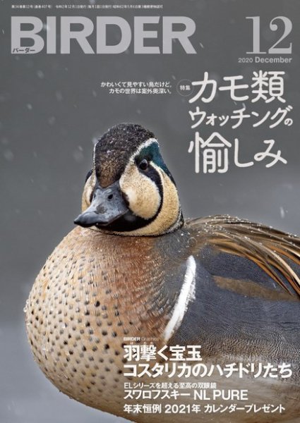 BIRDER（バーダー） 2020年12月号 (発売日2020年11月16日) 表紙