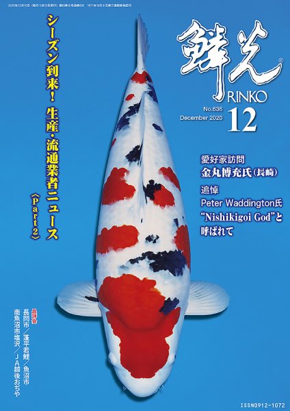 鱗光 2020年11月15日発売号 表紙