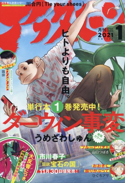 アフタヌーン 2021年1月号 (発売日2020年11月25日) 表紙