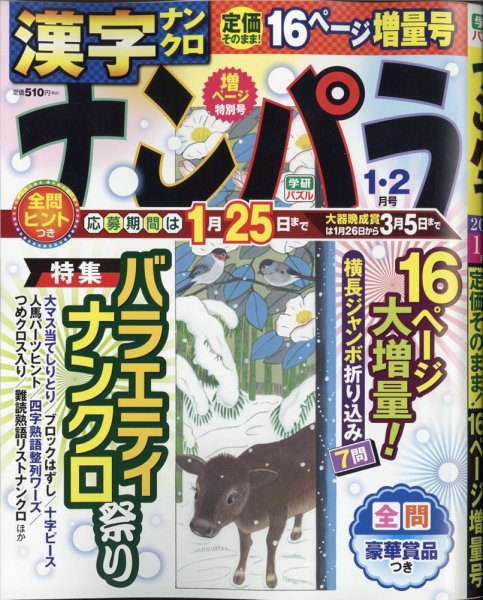 ナンパラ 2021年1月号 (発売日2020年11月26日) 表紙