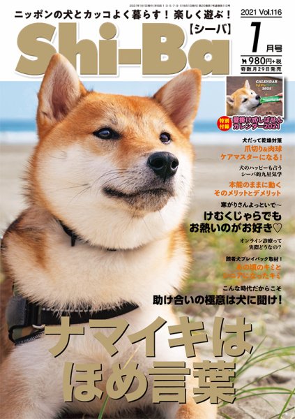 Shi-Ba(シーバ)　 2021年1月号 (発売日2020年11月27日) 表紙