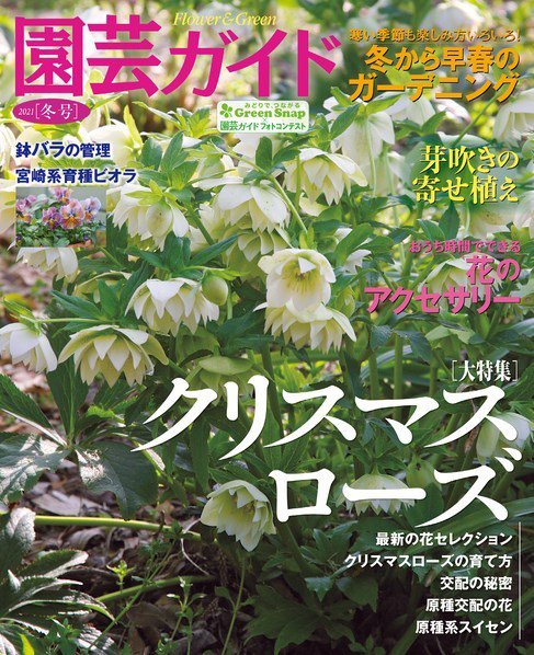 園芸ガイド 2021年1月号 (発売日2020年12月08日) 表紙