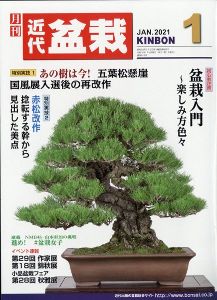 月刊 近代盆栽 2021年1月号 (発売日2020年12月04日) 表紙