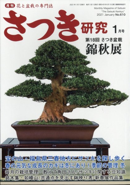さつき研究 2021年1月号 (発売日2020年12月04日) 表紙