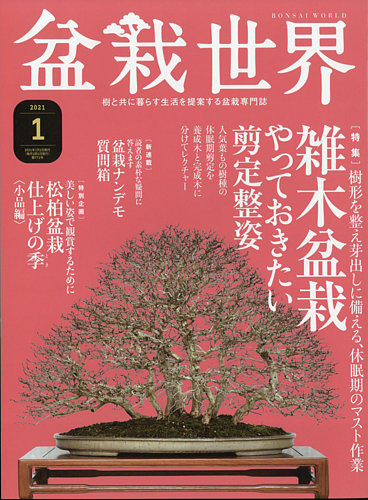 盆栽世界 2021年1月号 (発売日2020年12月04日) | 雑誌/電子書籍/定期
