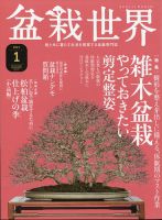 盆栽世界 2021年1月号 表紙