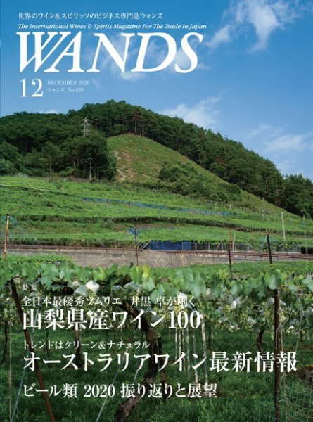 WANDS（ウォンズ） No.420 (発売日2020年12月05日) 表紙