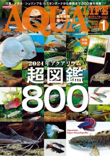 アクアライフ 1月号 (発売日2020年12月11日) 表紙