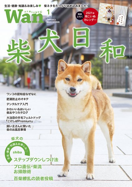wan（わん） 2021年1月号 (発売日2020年12月14日) 表紙