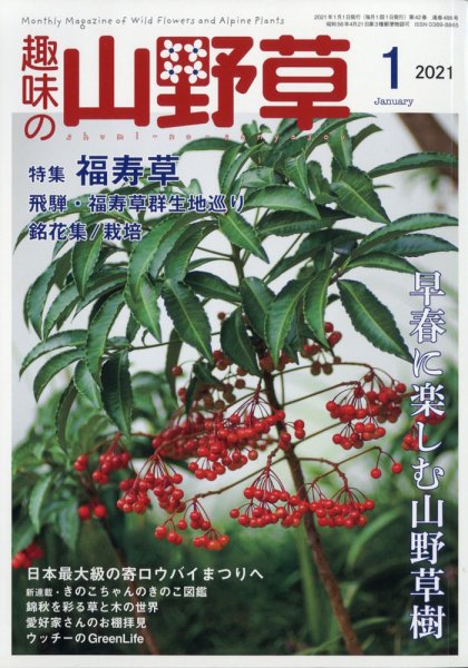 趣味の山野草 2021年1月号 (発売日2020年12月11日) 表紙