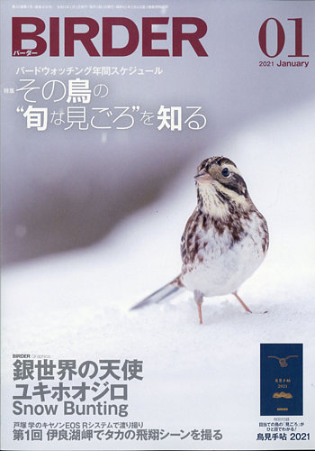 Birder バーダー 21年1月号 発売日年12月16日 雑誌 電子書籍 定期購読の予約はfujisan